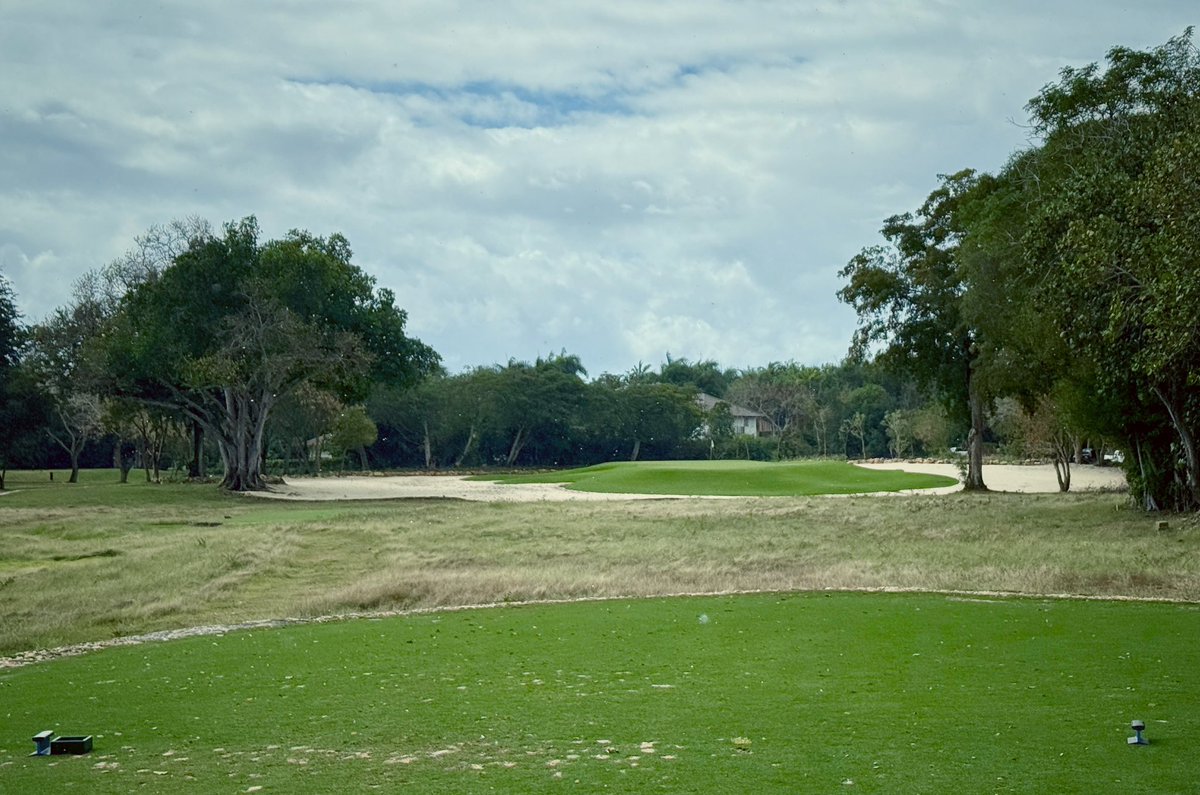 Tim Gavrich tweet media