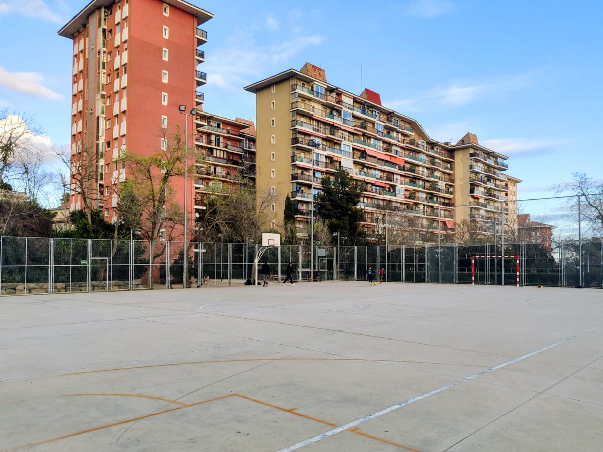 Associació Esportiva Futbol Sala Arrels tweet media