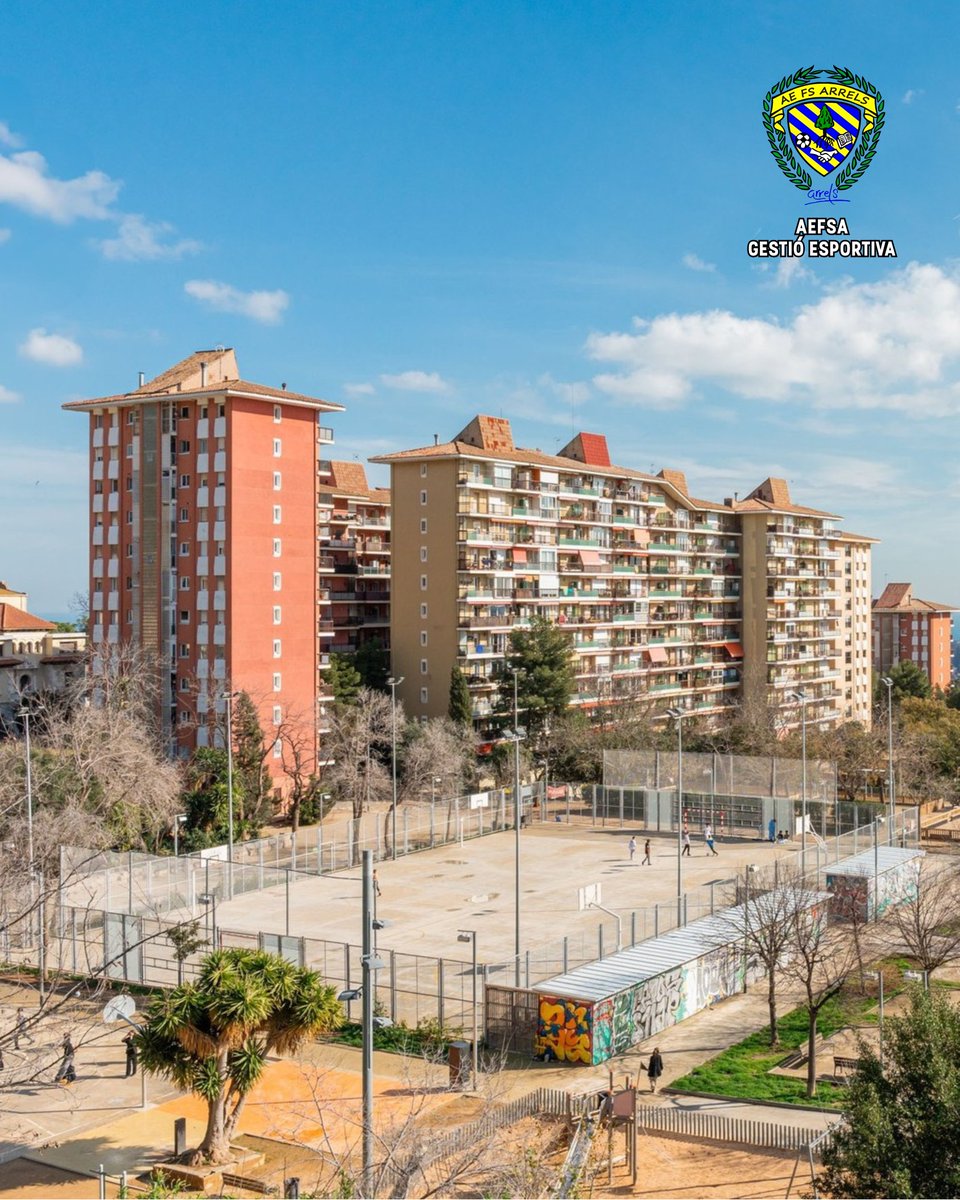 Associació Esportiva Futbol Sala Arrels tweet media