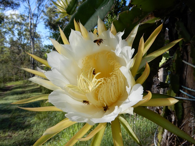 Manami.N tweet media