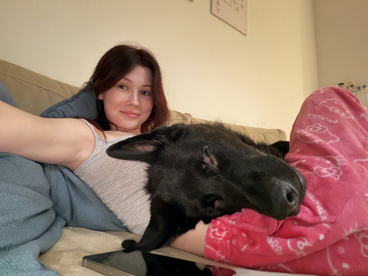 bon-bon ᰔ tweet media