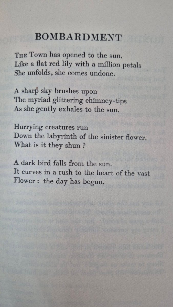 Books Landscape Magic tweet media