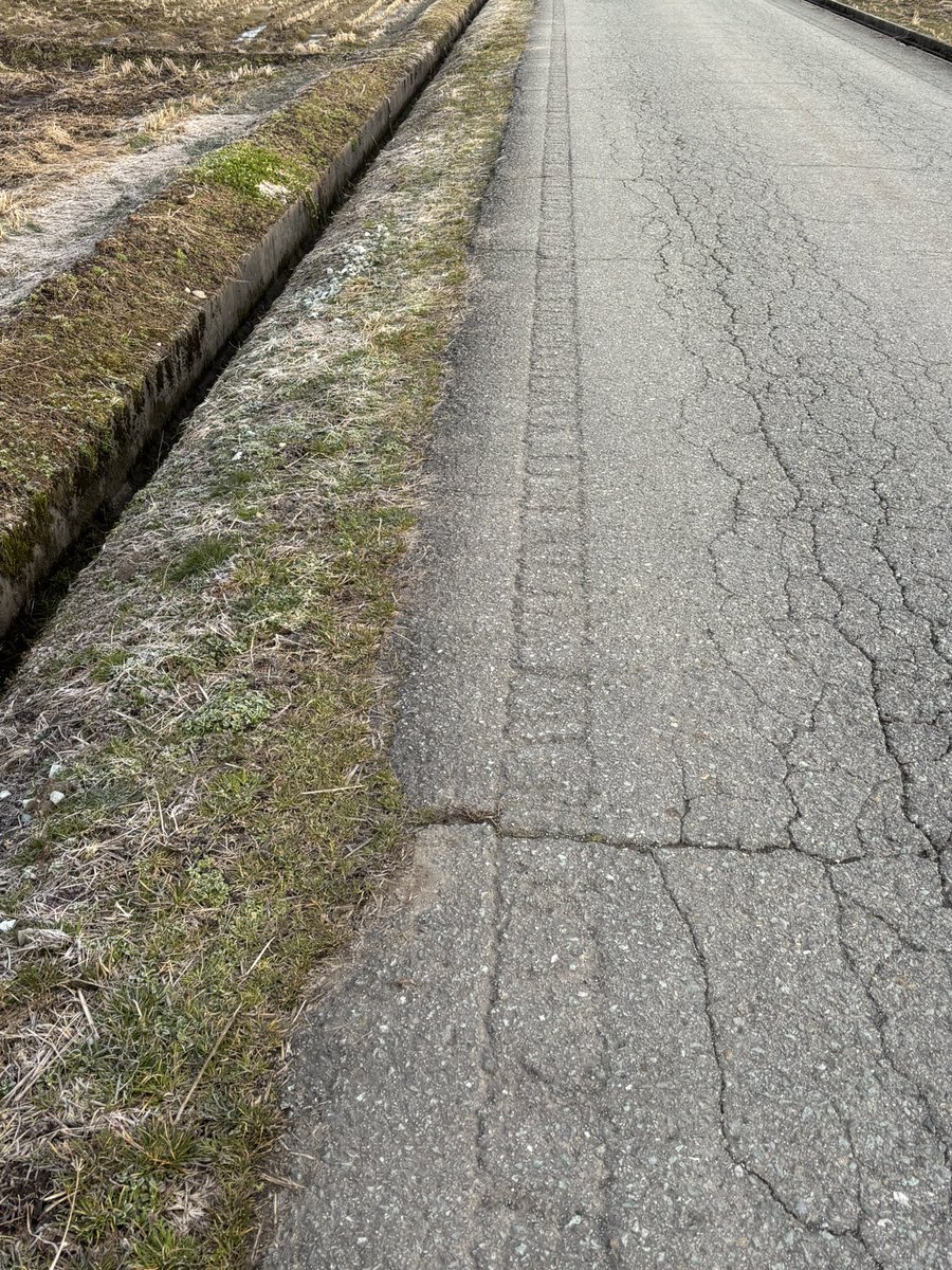 もちこ tweet media