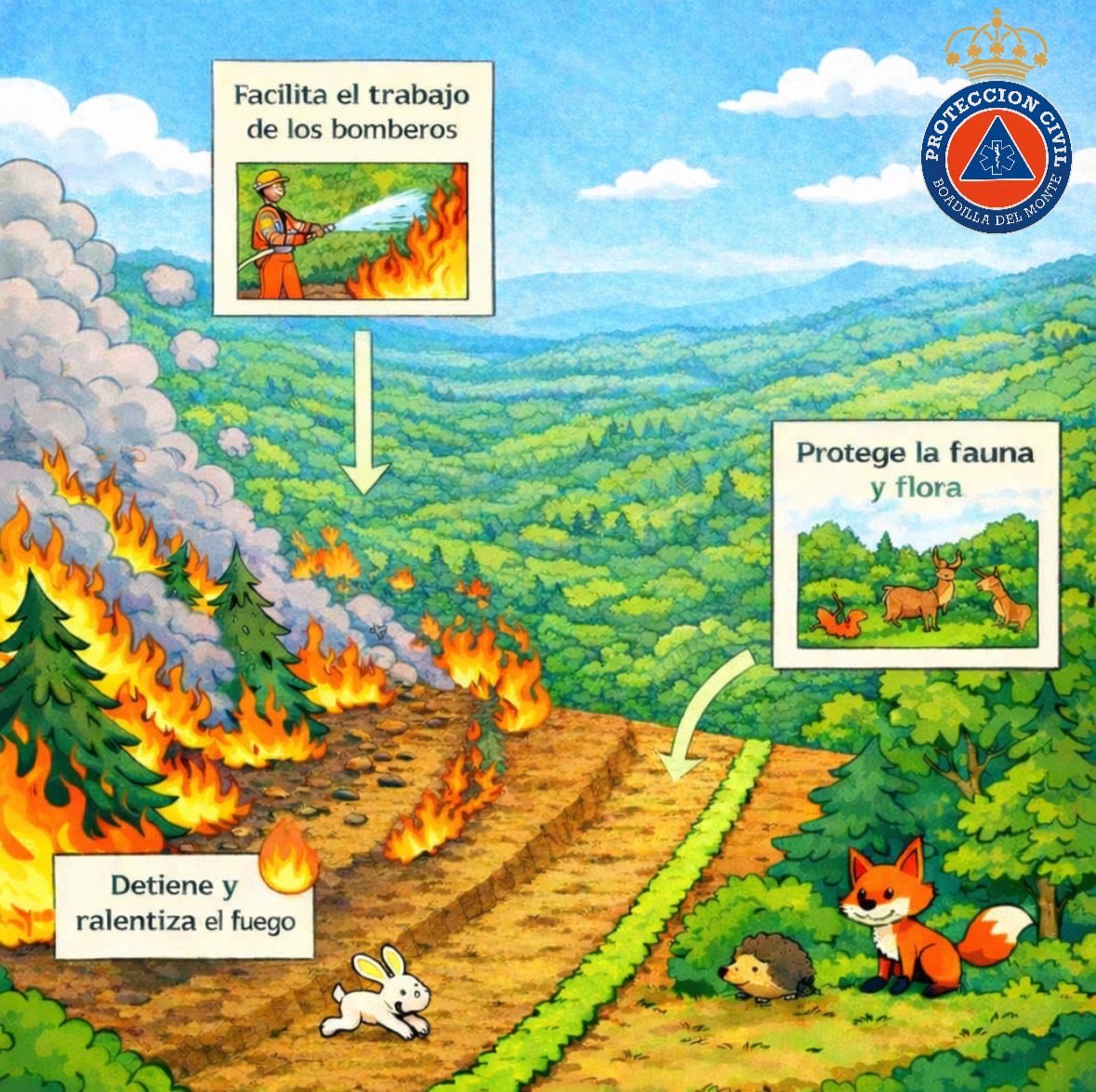 SEM-PC Boadilla tweet media