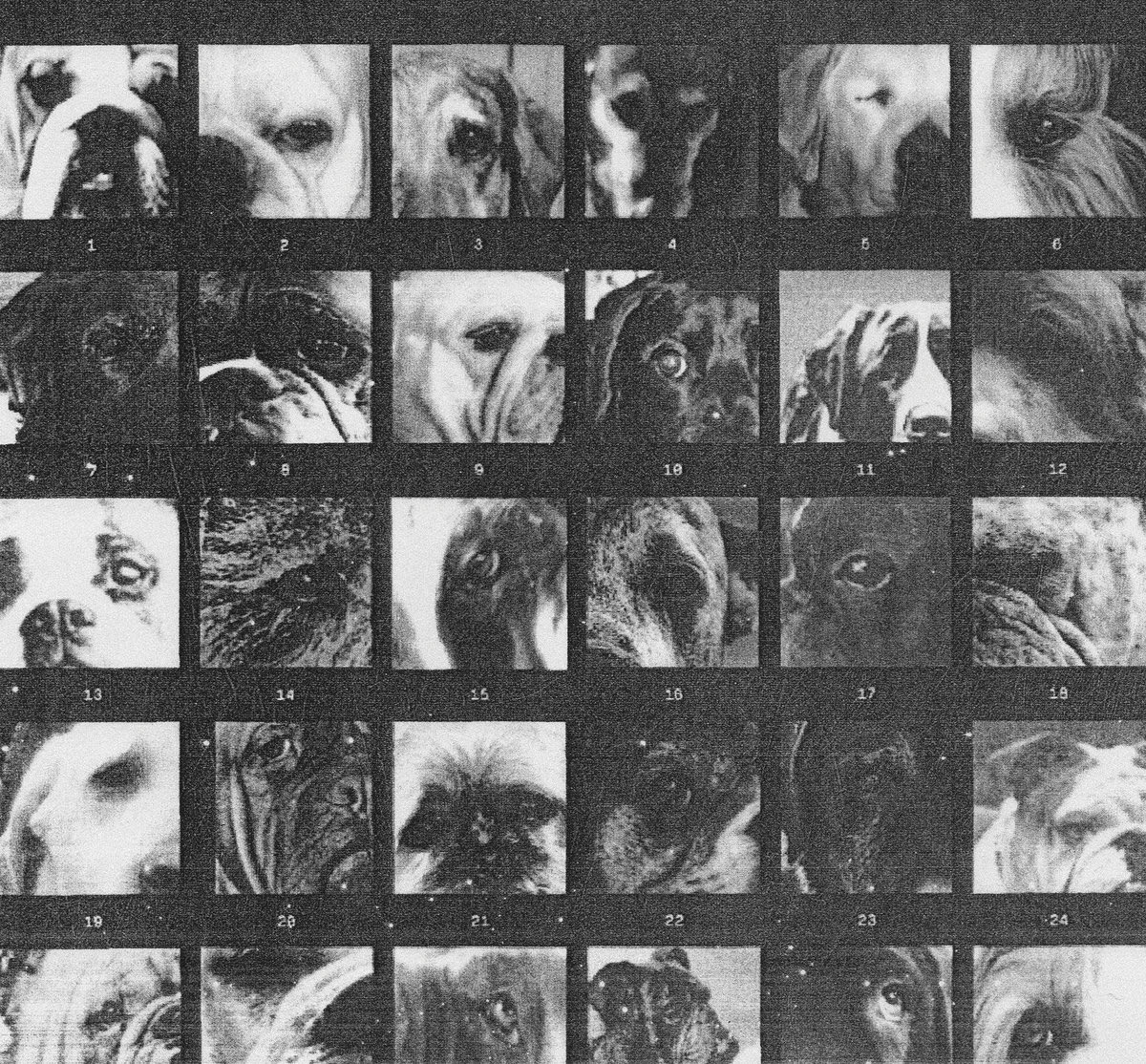 bumi bulat tweet media