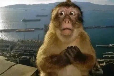 Essiloss tweet media