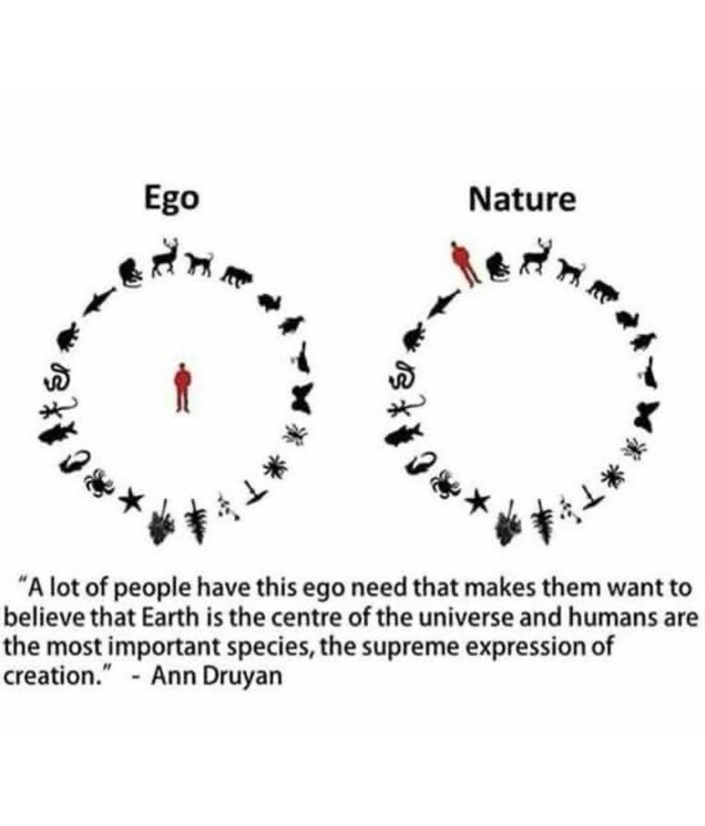 ARTIFAXING (@pedestrian) on Twitter photo 