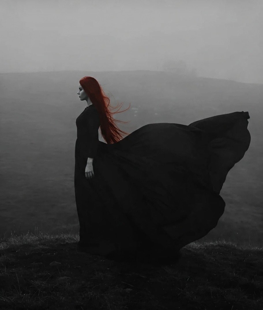 You are not lost
You are being summoned.
By the wind.
By the water.
By the old gods who still speak.