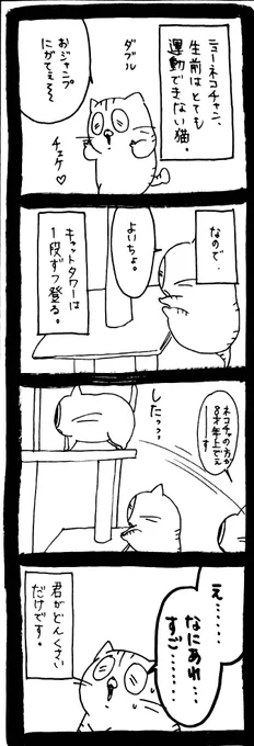 能力の差 