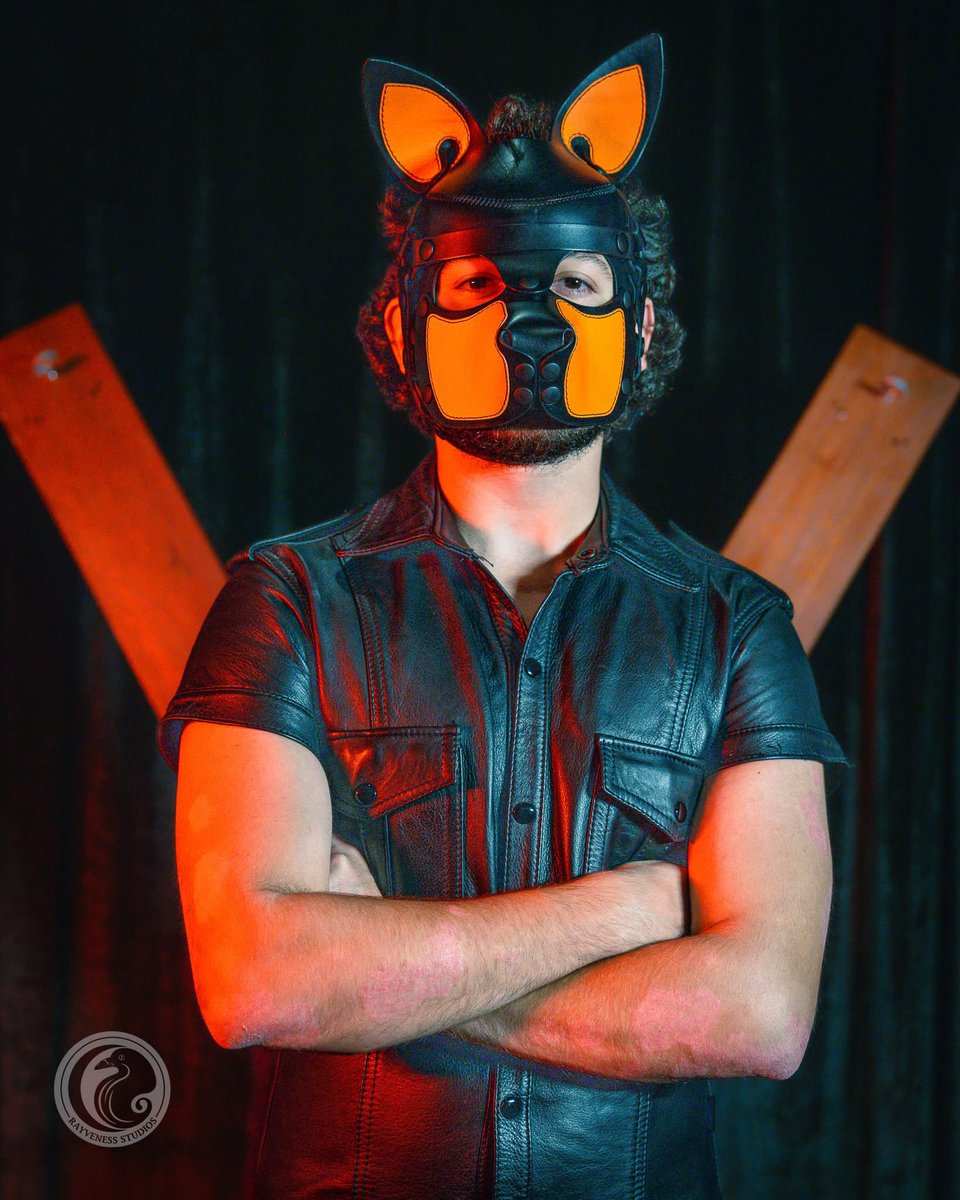 Pup Mase tweet media