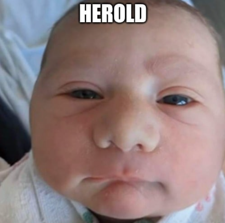 HurkasPeter's tweet photo. @MitchJonez rb: Overloocker https://t.co/HQPdOJM7CI
