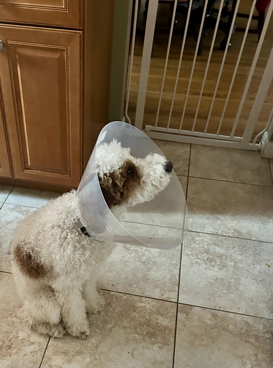 Joseph P. Owens tweet media