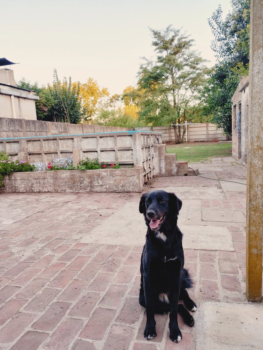 Flor 🪷 tweet media