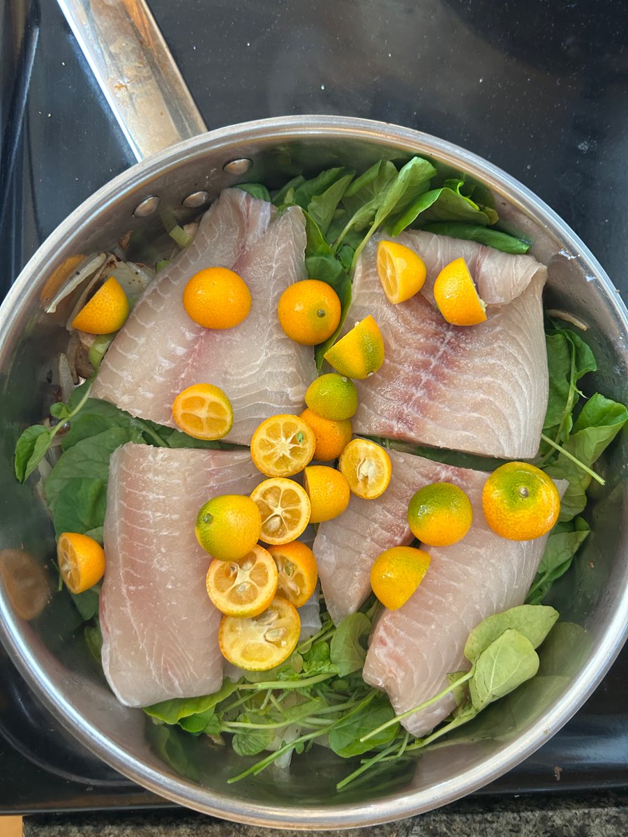 preset_2m3's tweet photo. Steaming my fish with watercress and kumquats and it’s 70 degrees. ❤️❤️❤️❤️❤️❤️❤️❤️❤️❤️❤️❤️❤️❤️❤️ https://t.co/kn7JSLxxMH