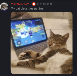 Luna Designs! tweet media