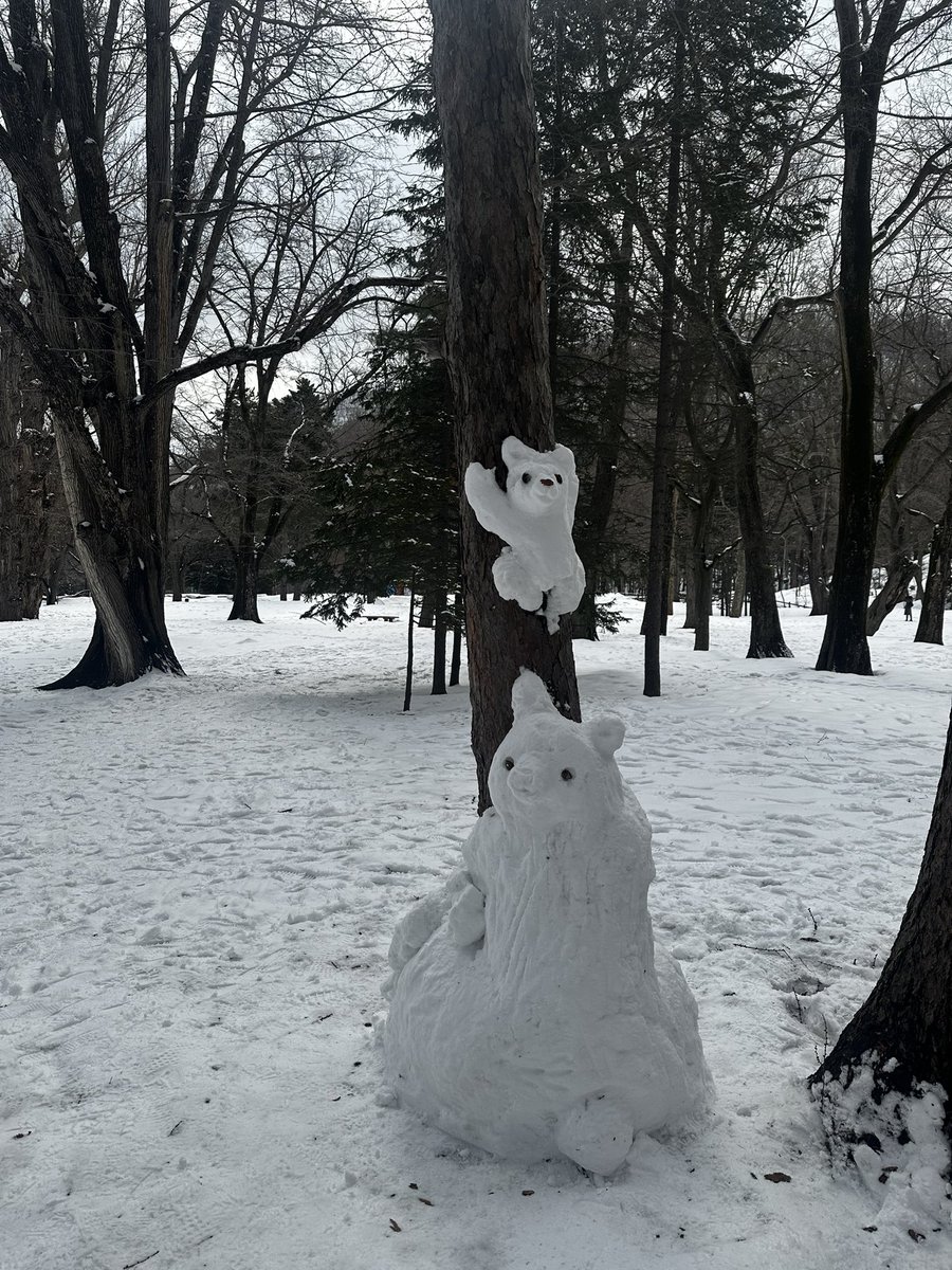 木元みき江 tweet media