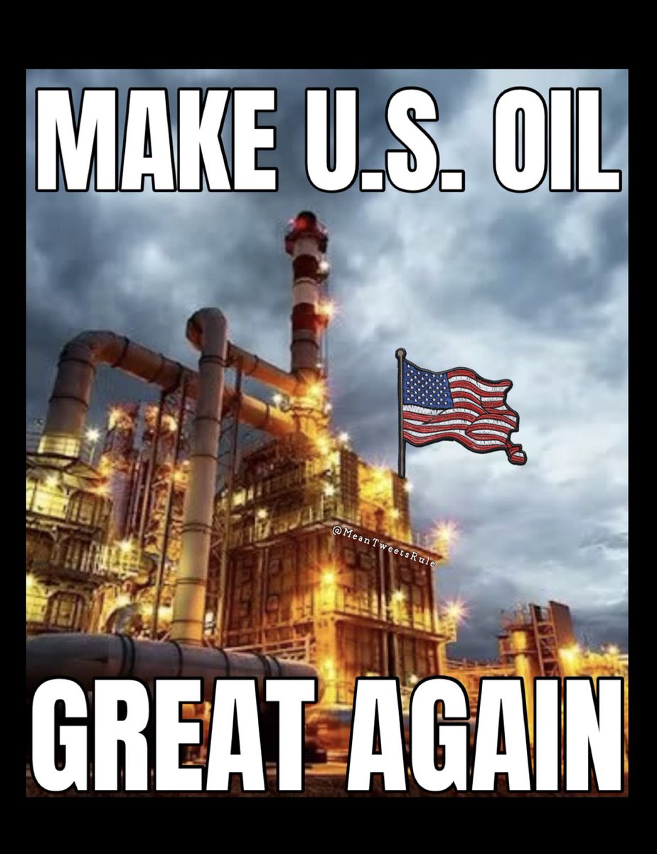 MeanTweetsRule's tweet photo. @MAGAVoice @1x2_many 🇺🇸👊🏻 https://t.co/ONVVHeeCST