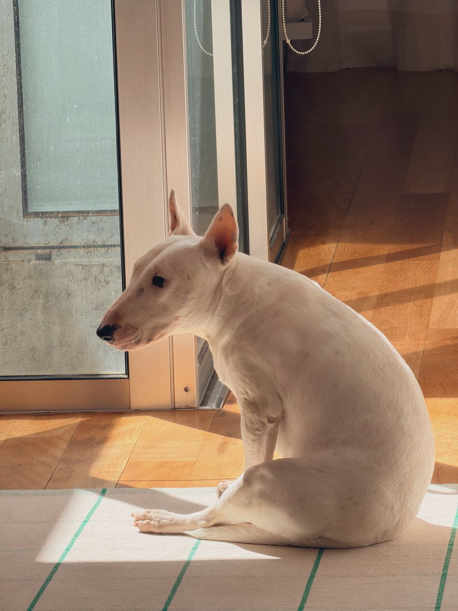 Keith💟Cosmo🇺🇦 tweet media