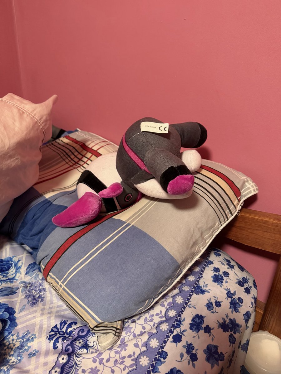 SillieFunnie's tweet photo. Once I turned towards my bed and Subspace was like this 
Is this how he sleeps https://t.co/GYFGVpZFTX