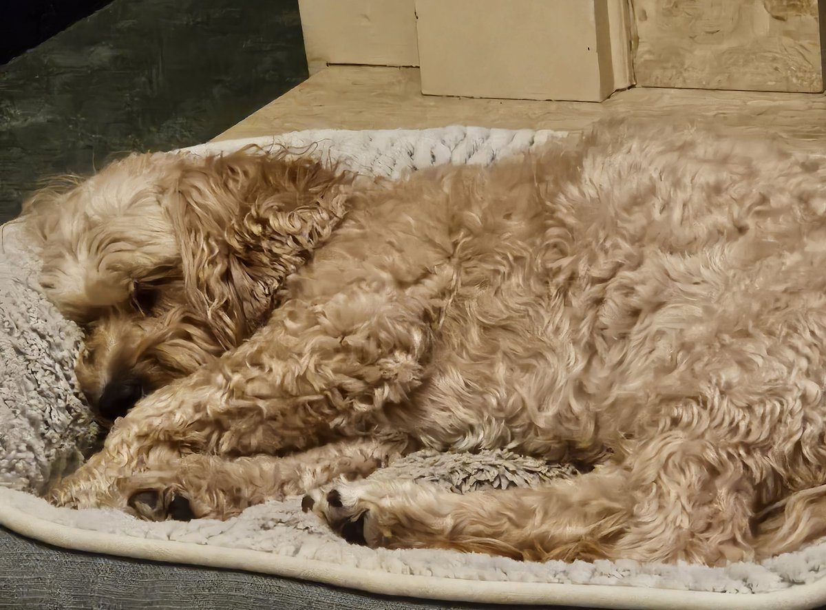 Steve H20 EVENTS tweet media