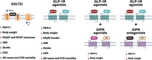 Diego Segura-Rodríguez tweet media