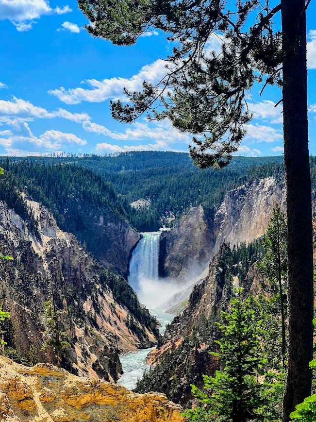 Jocaccia tweet media