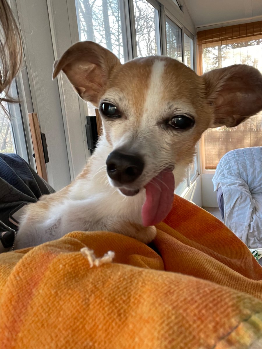 Sean Rogers tweet media