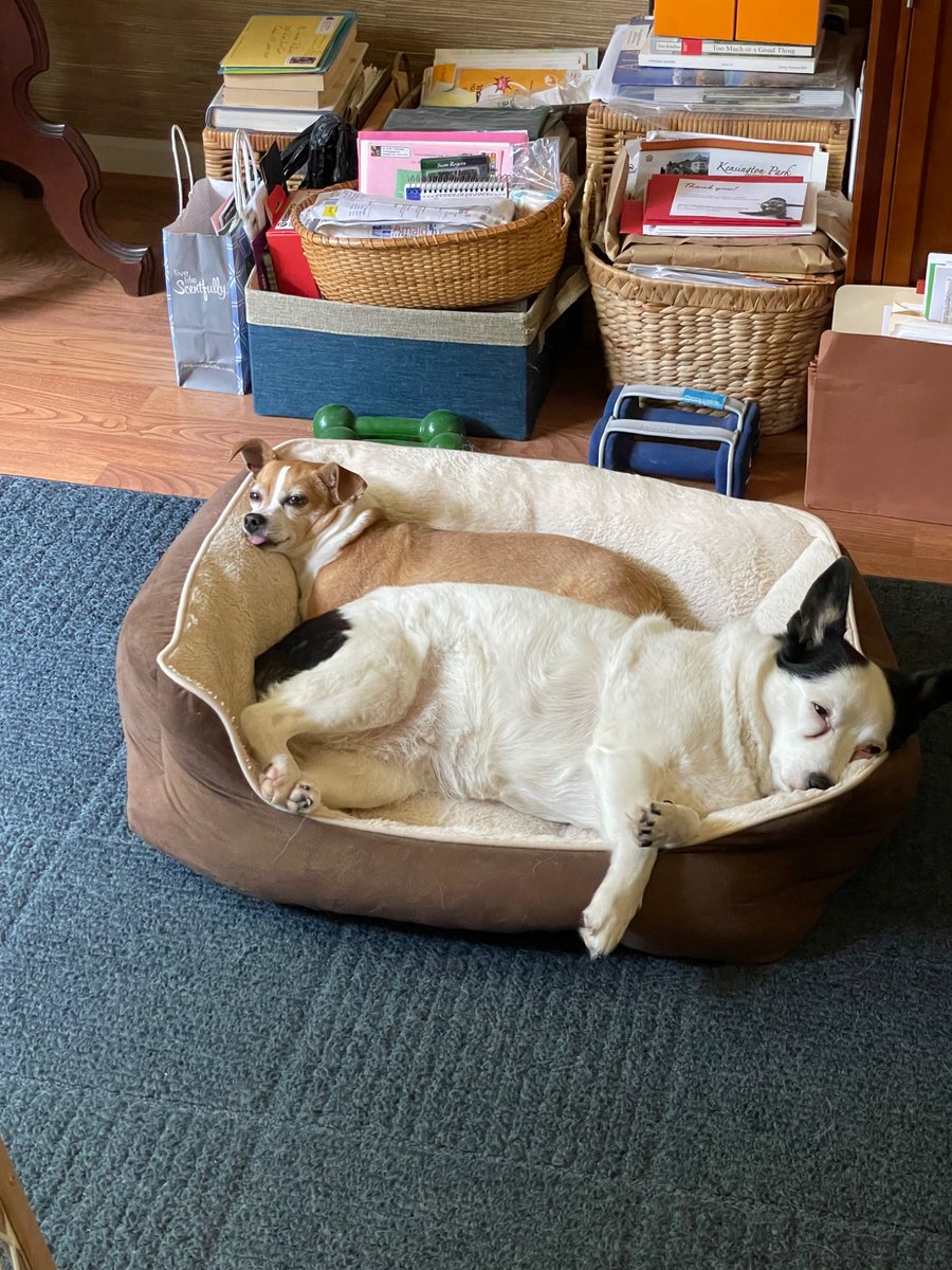 Sean Rogers tweet media