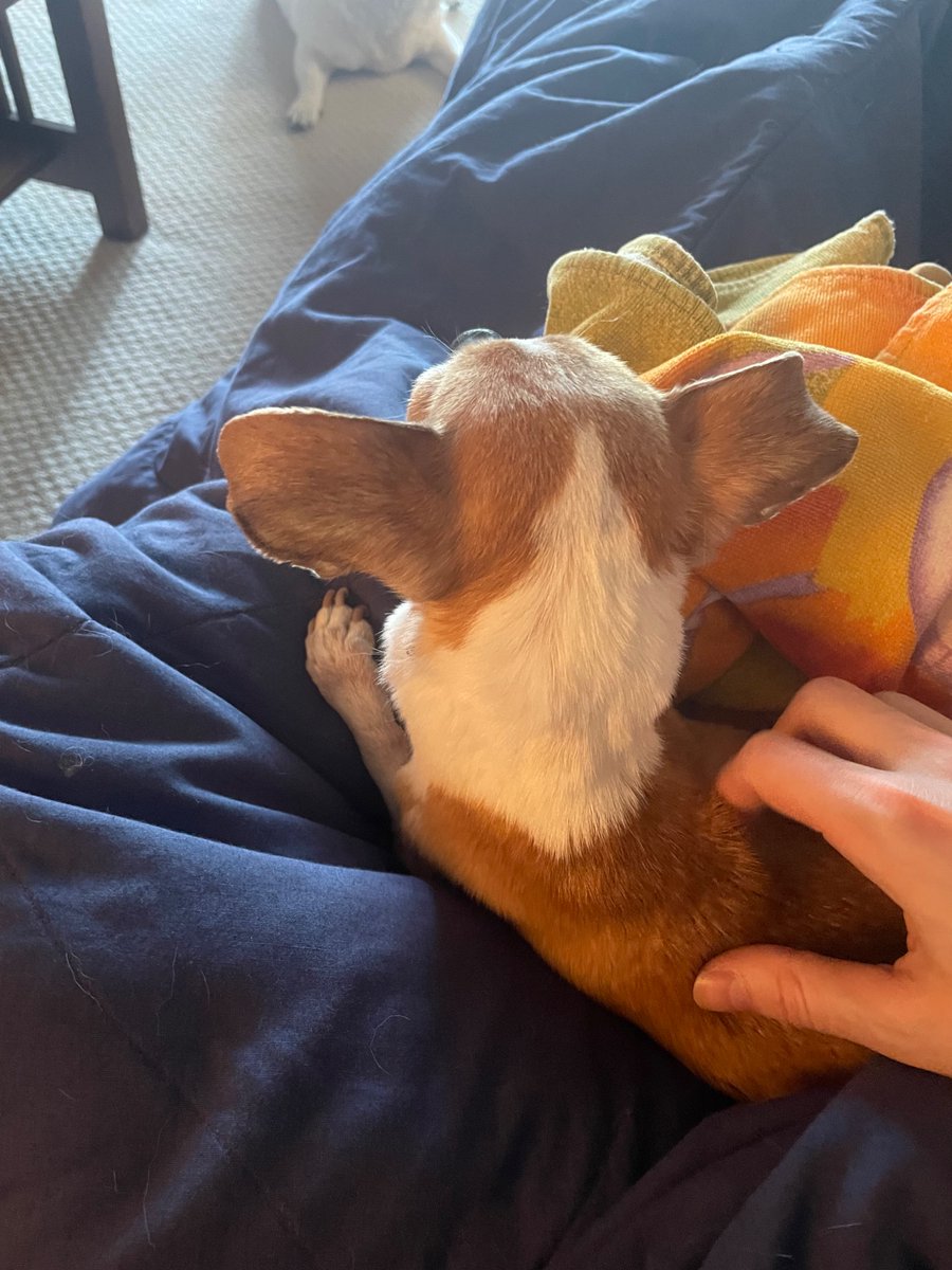 Sean Rogers tweet media