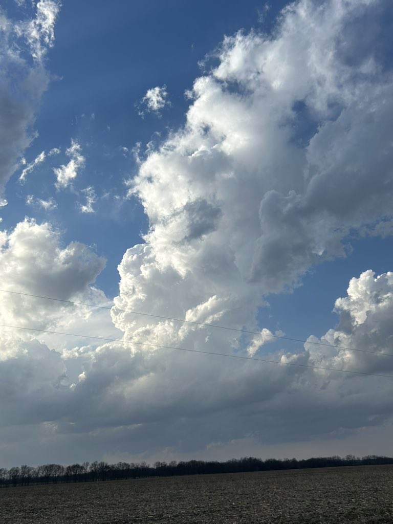 Shae Cohan tweet media