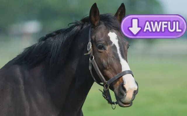 Parea Simone- PRE-DEBUT💜🧠 tweet media