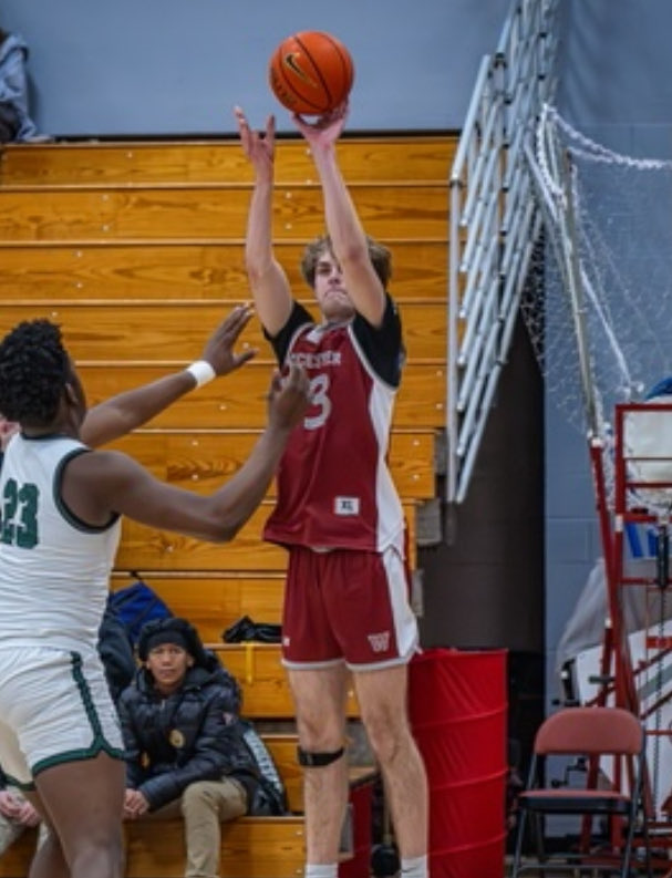 Worcester Basketball tweet media