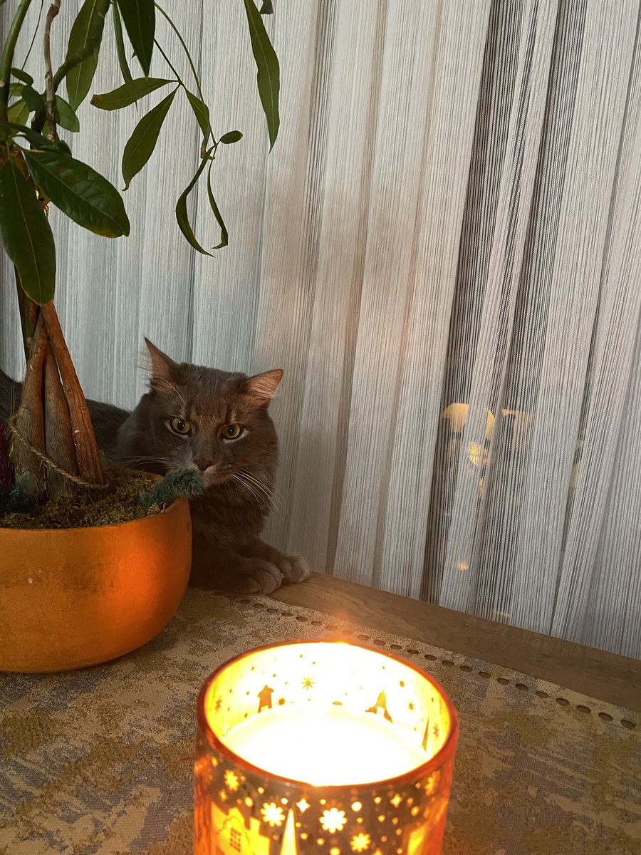 oglusum 2 oldu 🥳💚