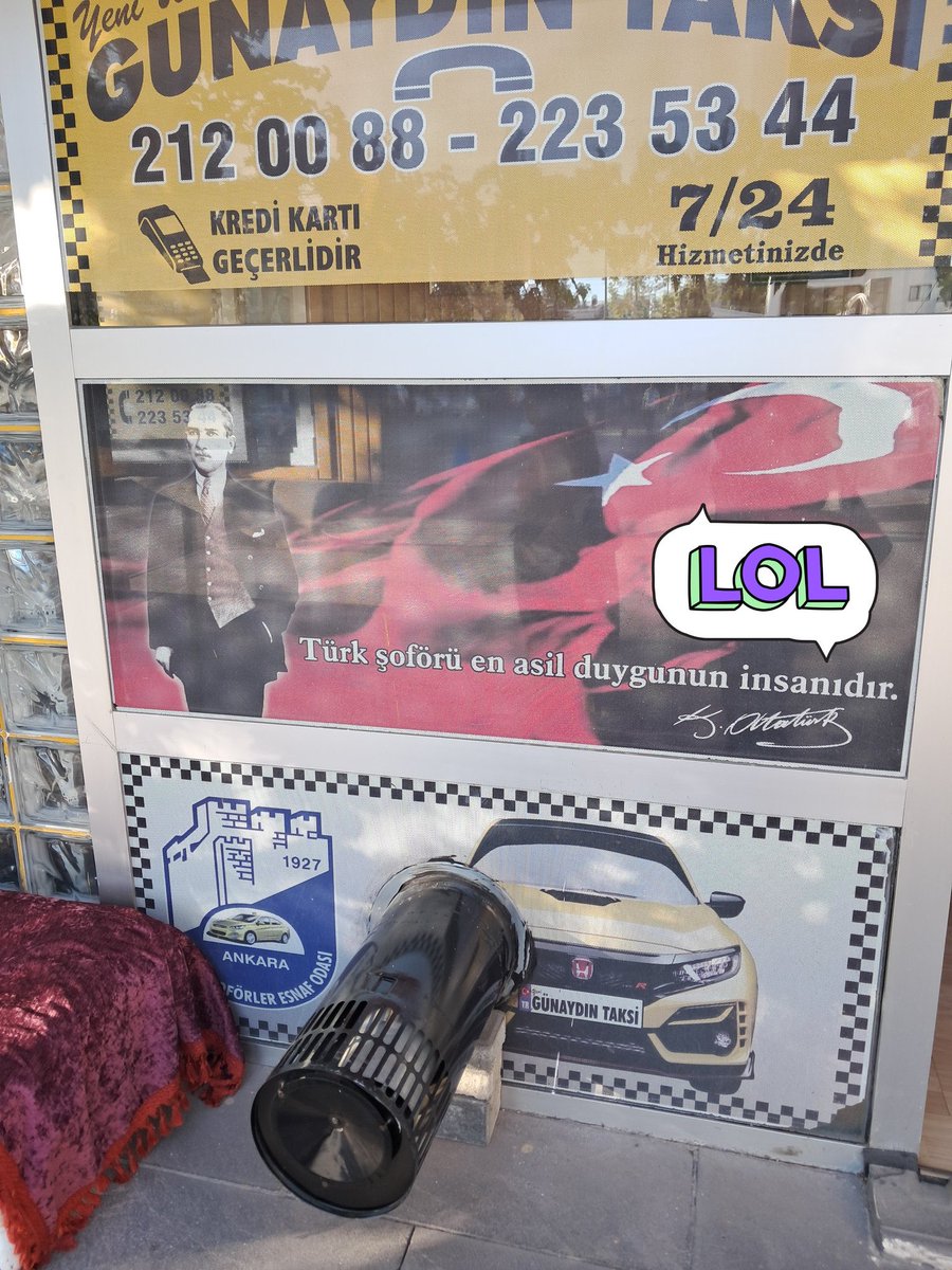 simîn amedi tweet media