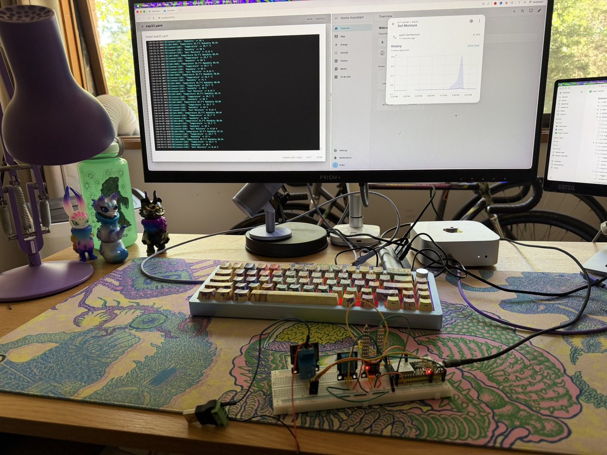 Kitty Vo tweet media