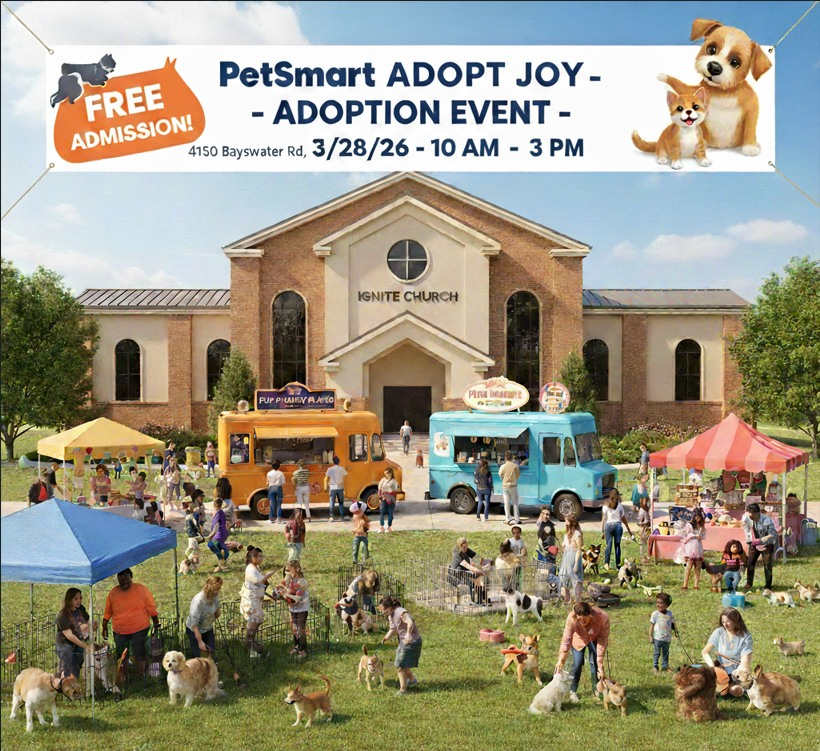 Because of Jim/Wild Serenity Cat Rescue Fund tweet media