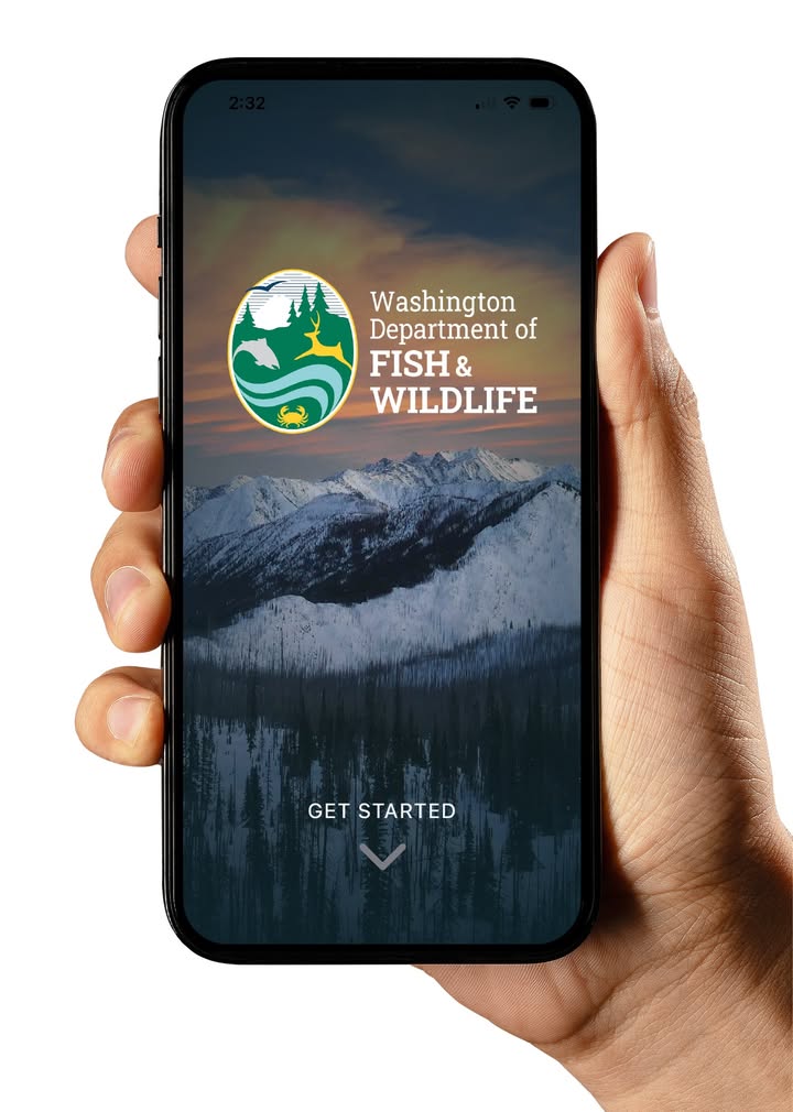 Washington Department of Fish & Wildlife tweet media