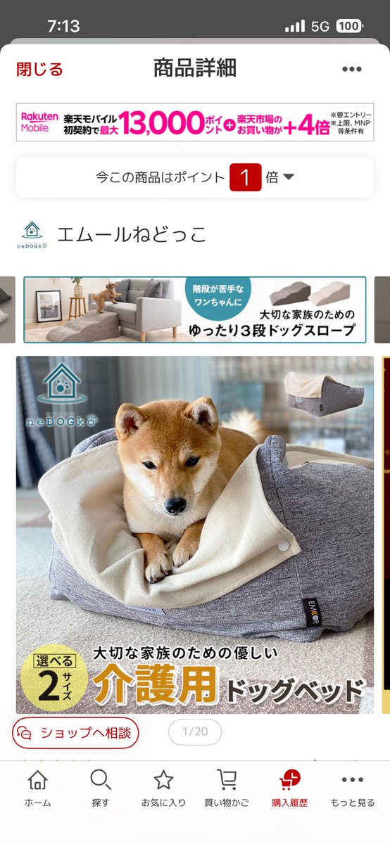 ひろぶー42 tweet media