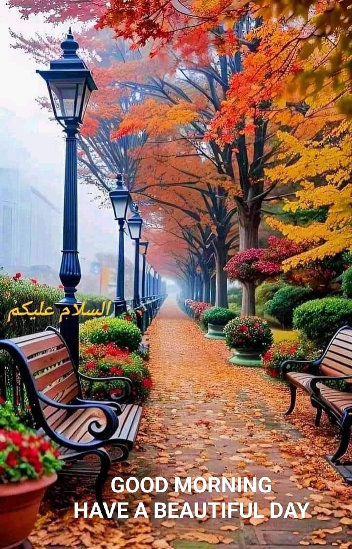 sadaf irfan tweet media