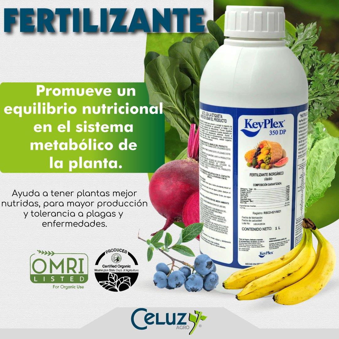 CeluzAgro's tweet photo. KeyPlex 350DP es una formulación de micronutrientes que suelen encontrarse en deficiencia en cultivos comerciales y arboles. Contiene alfa-cetoácidos, que pueden facilitar la utilización de micronutrientes y aumentar la resistencia al estrés ambiental. 
https://t.co/XNQicH5lTM https://t.co/hvYoQC8KdE