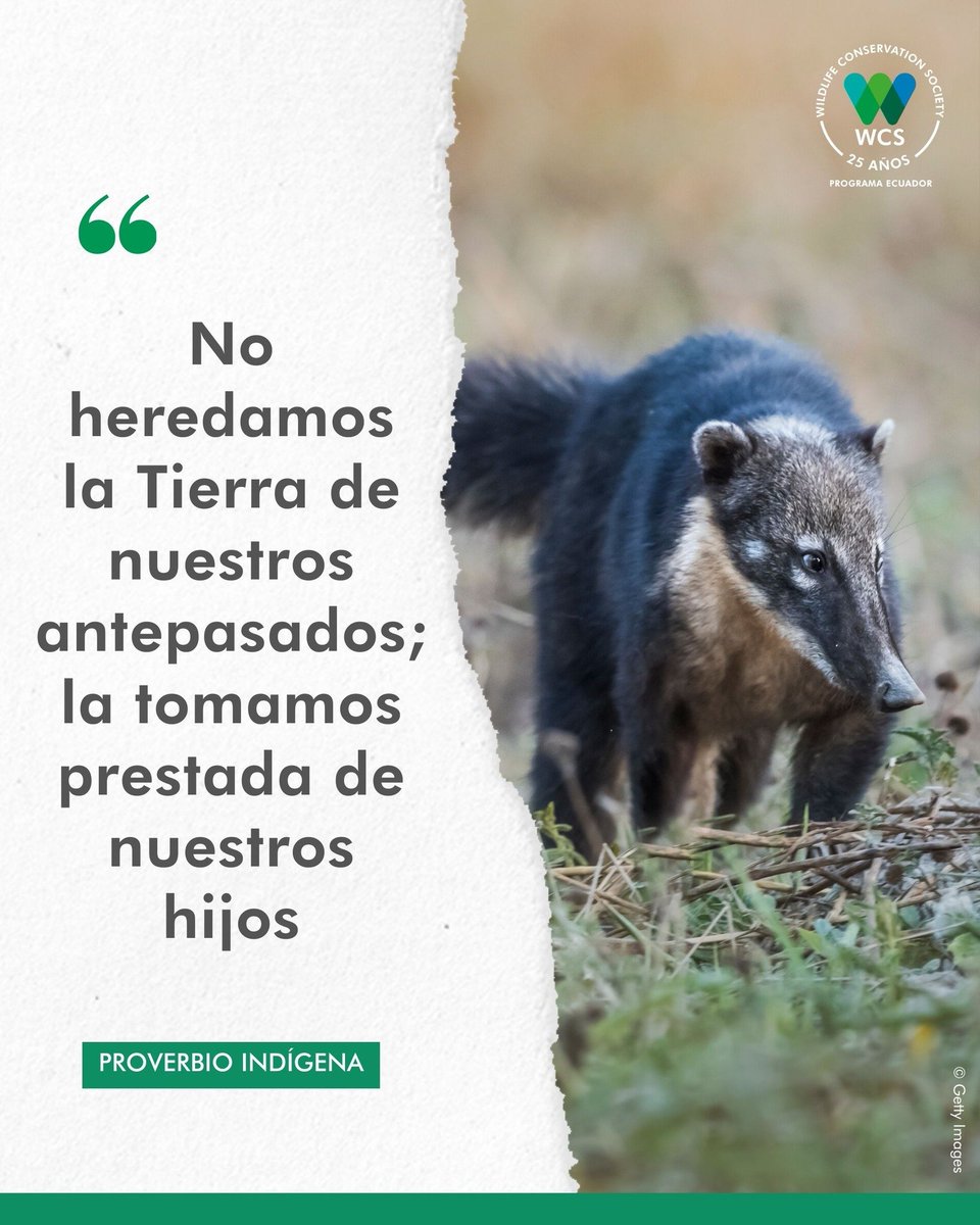 WCS Ecuador 💚💙 tweet media