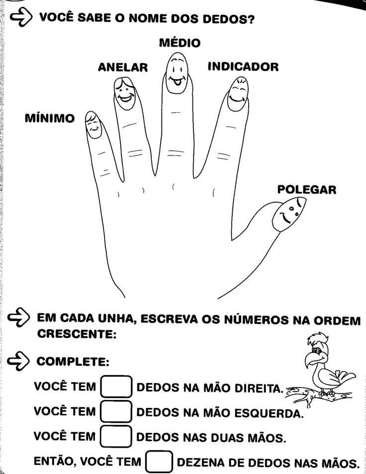 𐂅𐂄𐂂𐂃𐂅𐂊 tweet media