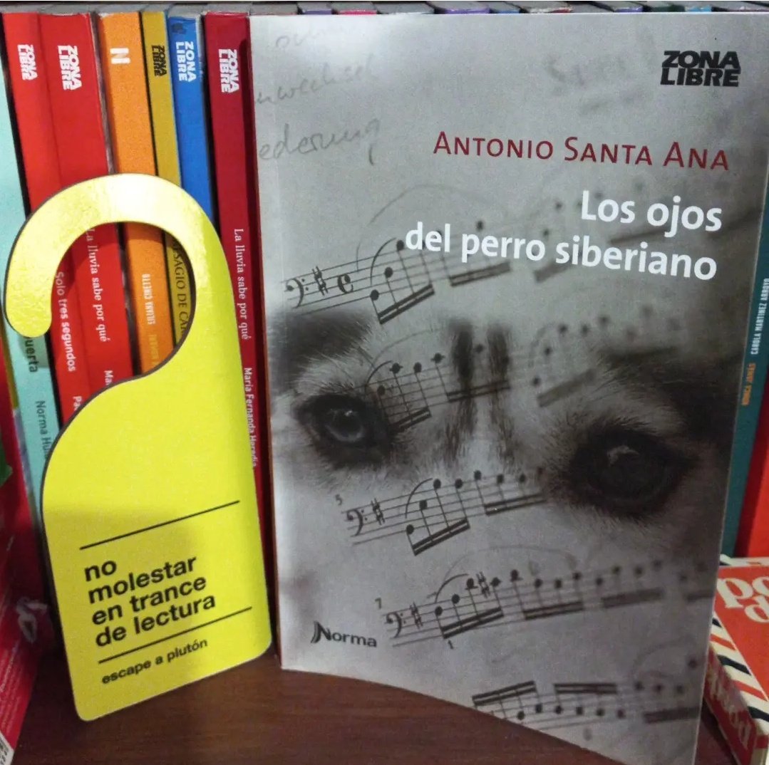 Silvana B. tweet media