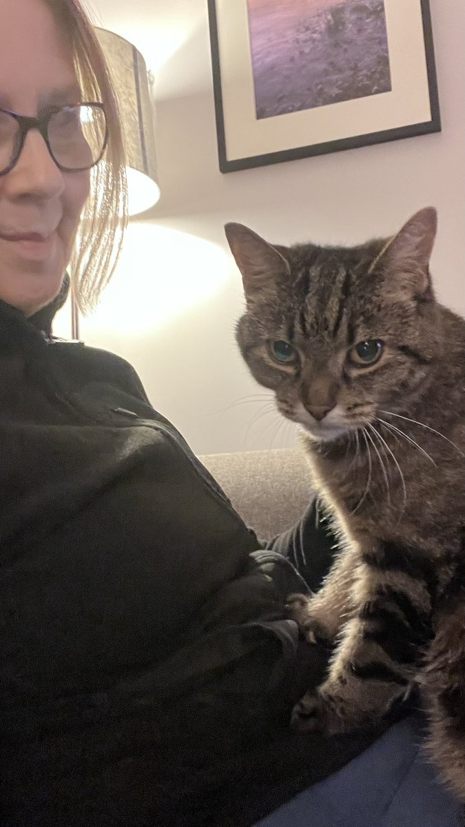 Millie 😸 📚 💚 🦔 tweet media