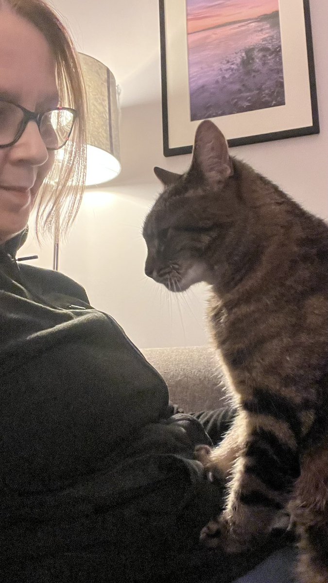 Millie 😸 📚 💚 🦔 tweet media