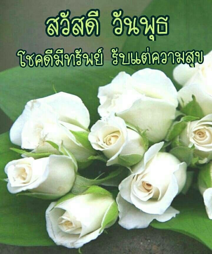boybank1's tweet photo. #Helloday #hellowednesday #wednesdaymorning #wednesday #สวัสดีวันพุธ #สวัสดีวันพุธแสนสุข #สวัสดีวันพุธที่สดใส #วันพุธสีเขียว https://t.co/5YpzOoipM9