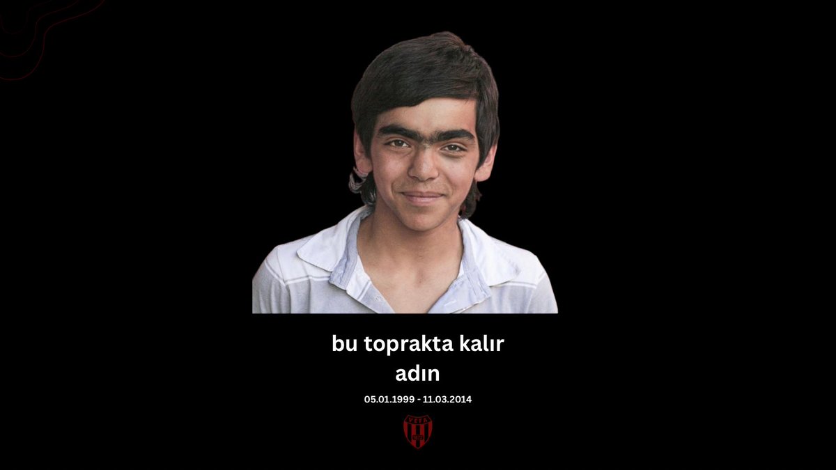 Vefa Liseliler tweet media