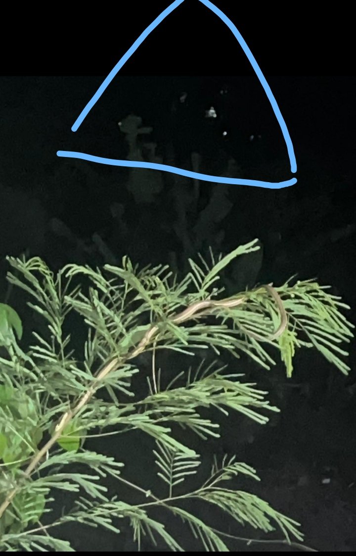 hadeex50's tweet photo. Three small dot visible dim light forming something like a large shape triangle today at 4 am 11-03-2026, at Bali Denpasar sky, is there any planet alignment or something else? https://t.co/T0WINN4c6x
