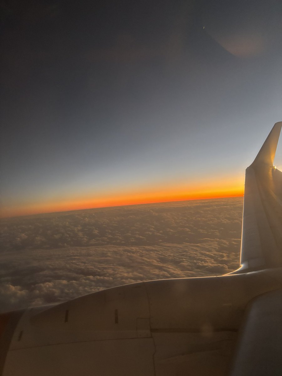 ここあ😈😈 tweet media