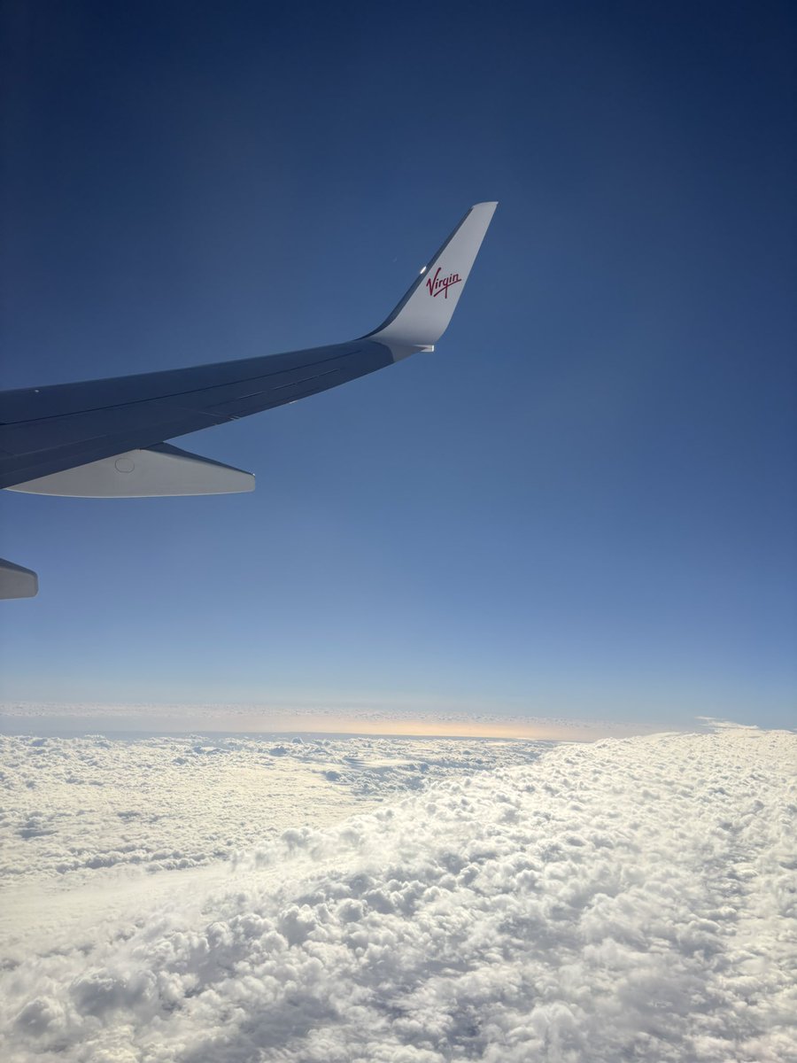 ここあ😈😈 tweet media